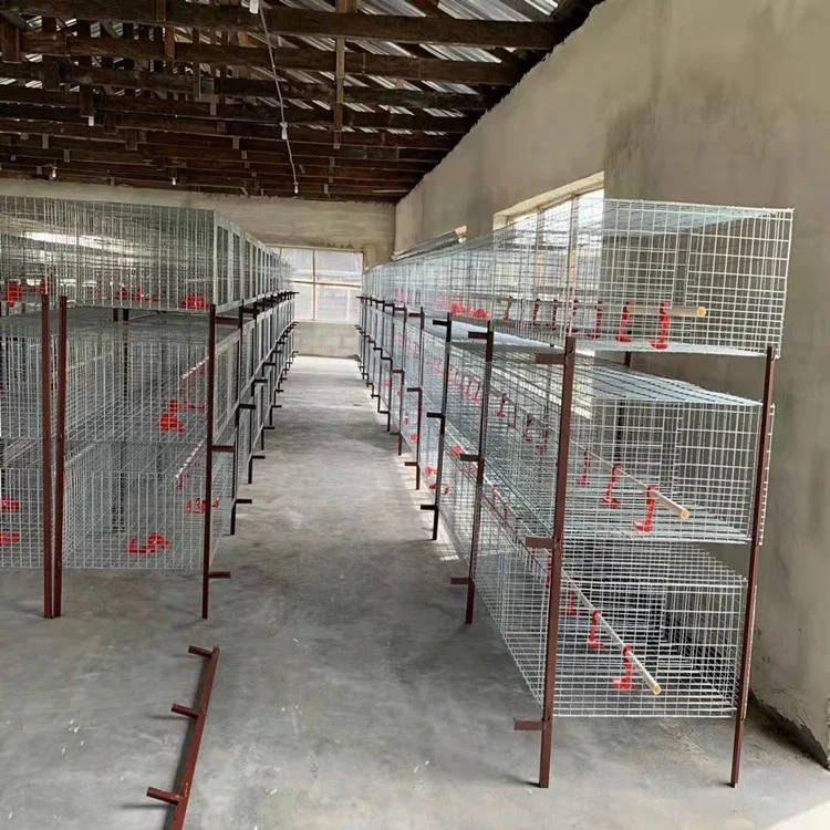 Hot sales A type 3 layer 4 door poultry chicken cage