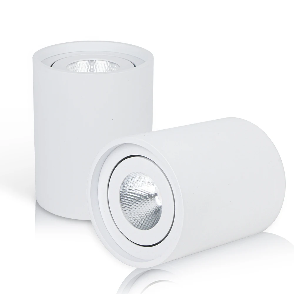 OKELI 220V White Round Living Room Surface Mounted COB Downlights