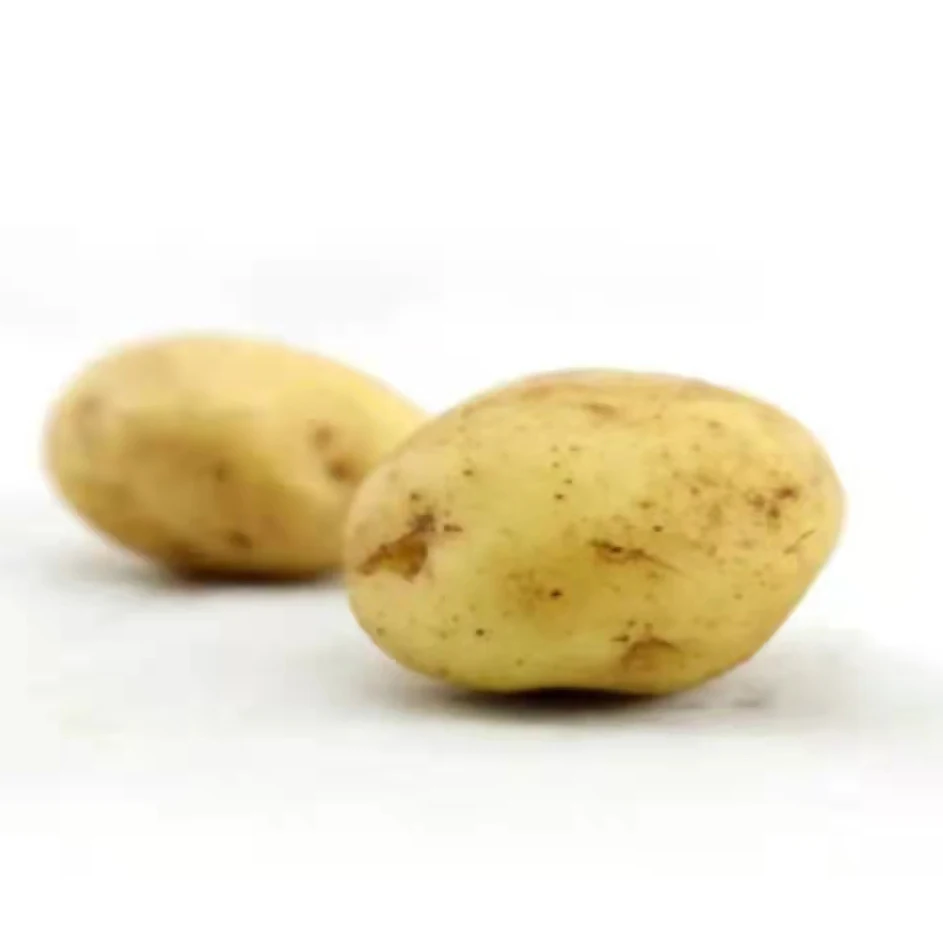 Promotion Price Fresh High Quality Potatoes Chinese Potatoes