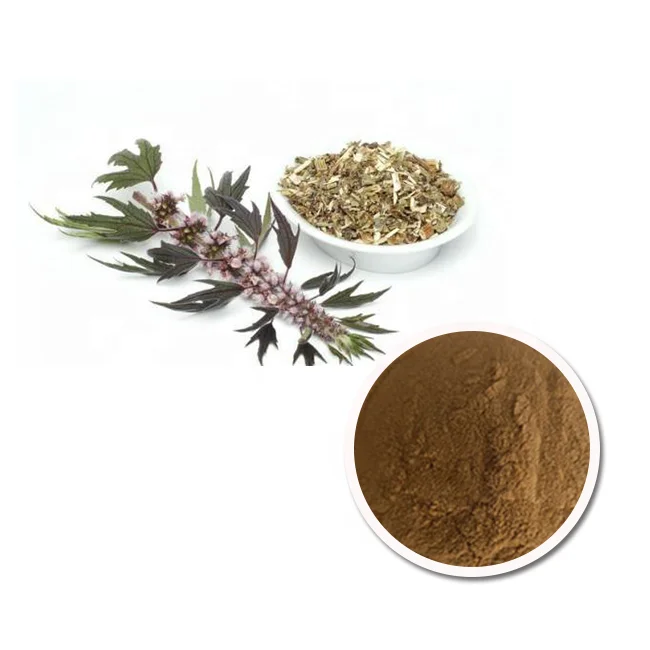 Best Quality Chinese Herb YI MU CAO Supplement Extract Powde Motherwort Extract