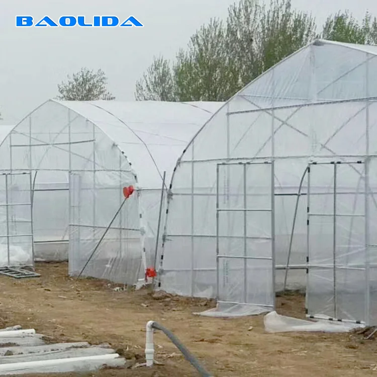 Excellent strength Low cost single-span green house plastic cover PEP greenhouse