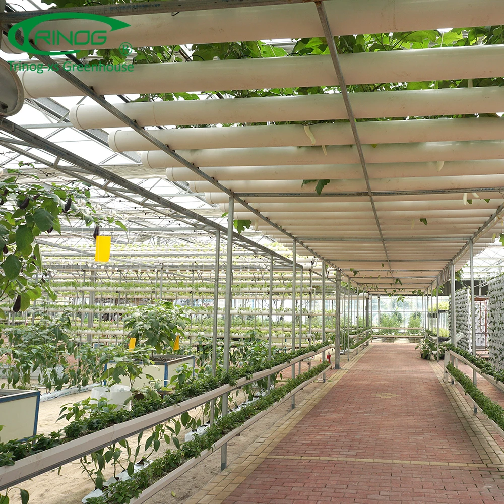 Double layer glass hydroponics greenhouse for cold weather