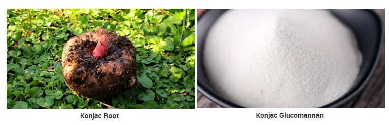 Cheap price bulk Best Quality Konjac powder slimming tea for weight loss drink