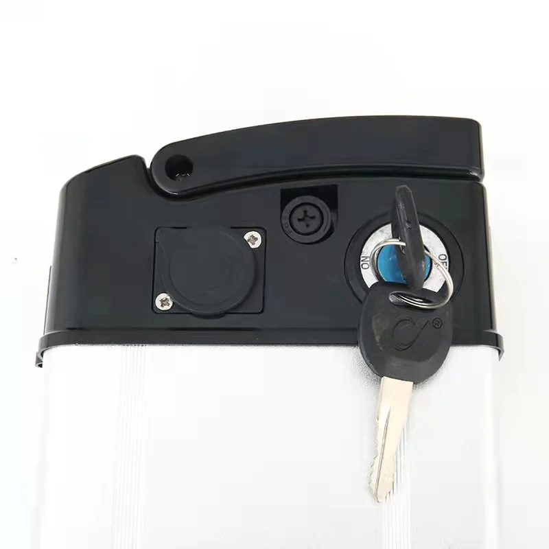 Customized li ion Ebike battery 48v 20Ah electric Bike Battery Lithium Ion Battery Pack for bicycle