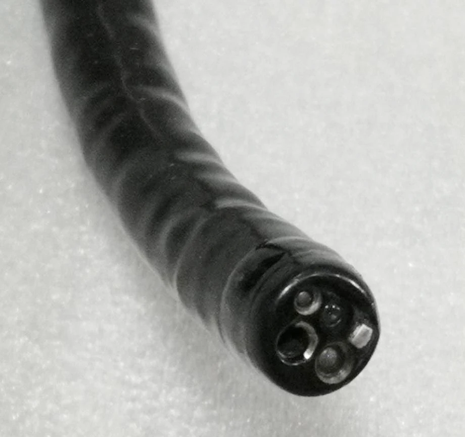 USB option video gastro-colonoscope for horse