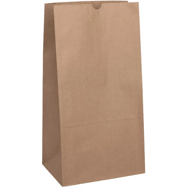 Kraft Paper Bags, Pack Of 500 Bags (3 LB, Brown)