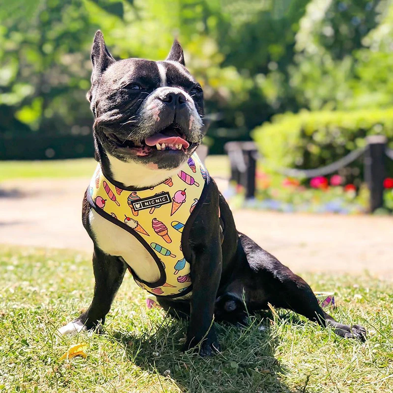 Factory Wholesale Latest Desirable Adjustable Polyester Pet Lovely Dog Harness Leash Set