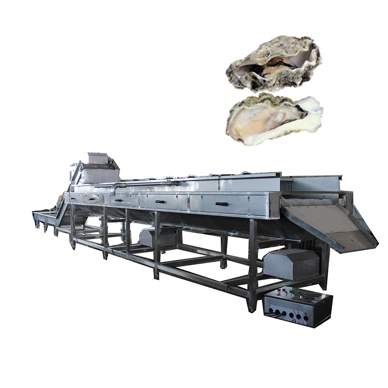 Fully Automatic Date Palm Carrot Fruit Vegetable Washer Dryer Cleaning Machine oyster washing machine