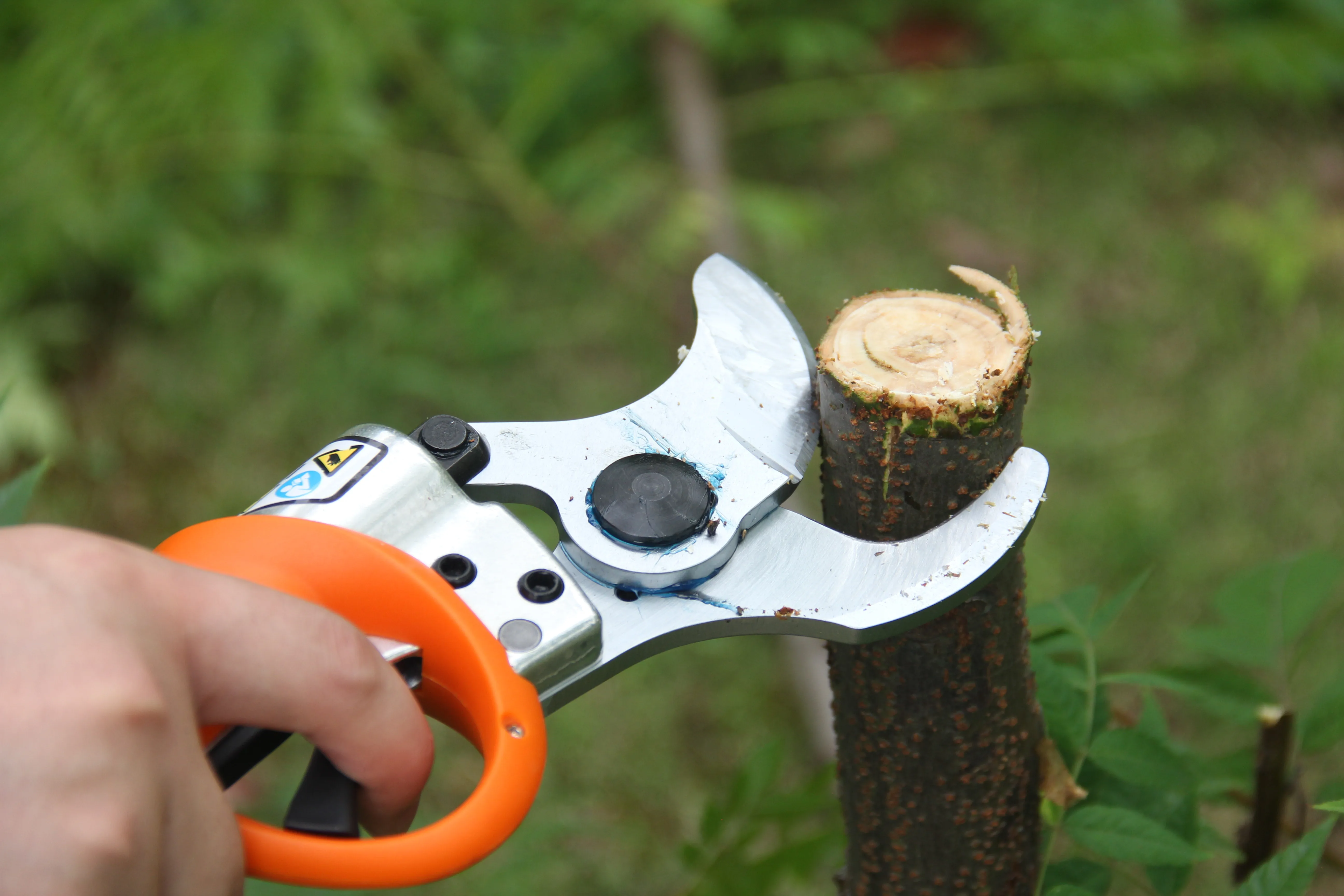 
High Quality Luxury 45MM Lithium battery Electric Pruning Shears 