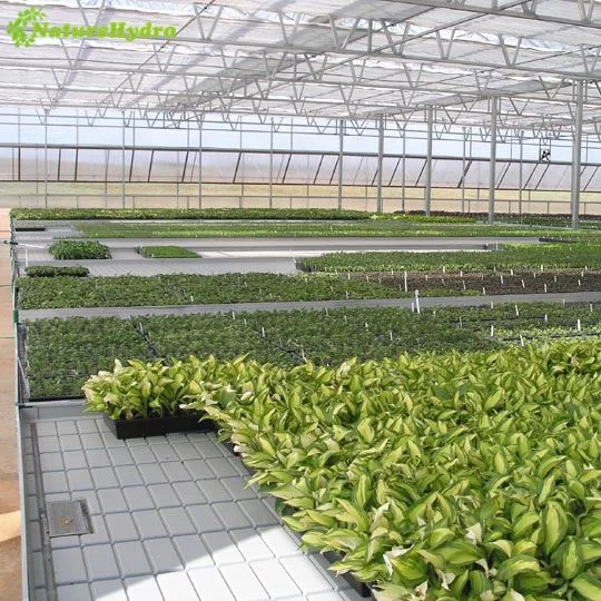 4*8ft ebb flow table seeding tray grow tray for seedling
