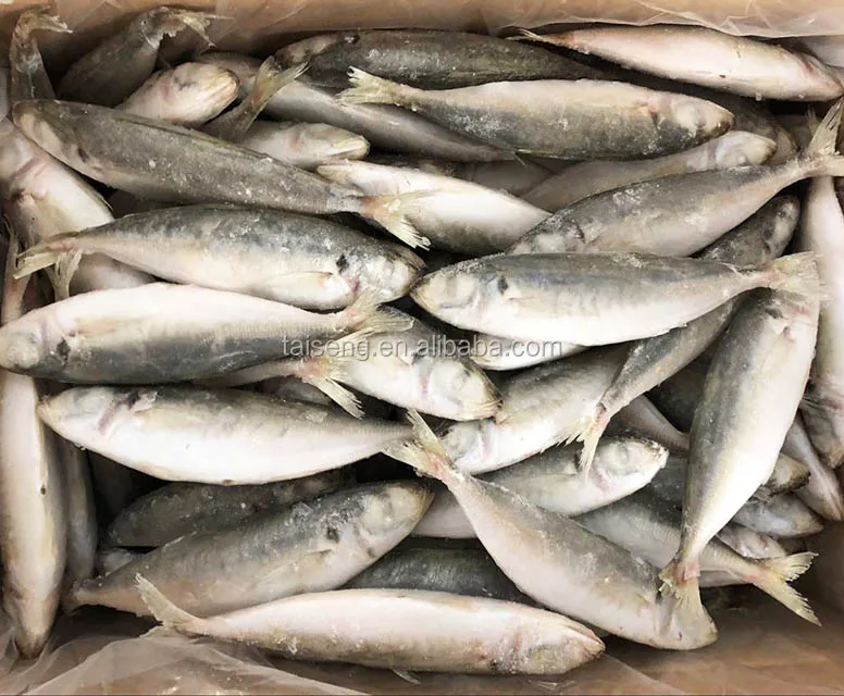Высокое качество, IQF, круглая скумбрия, 80-100 шт. в коробке