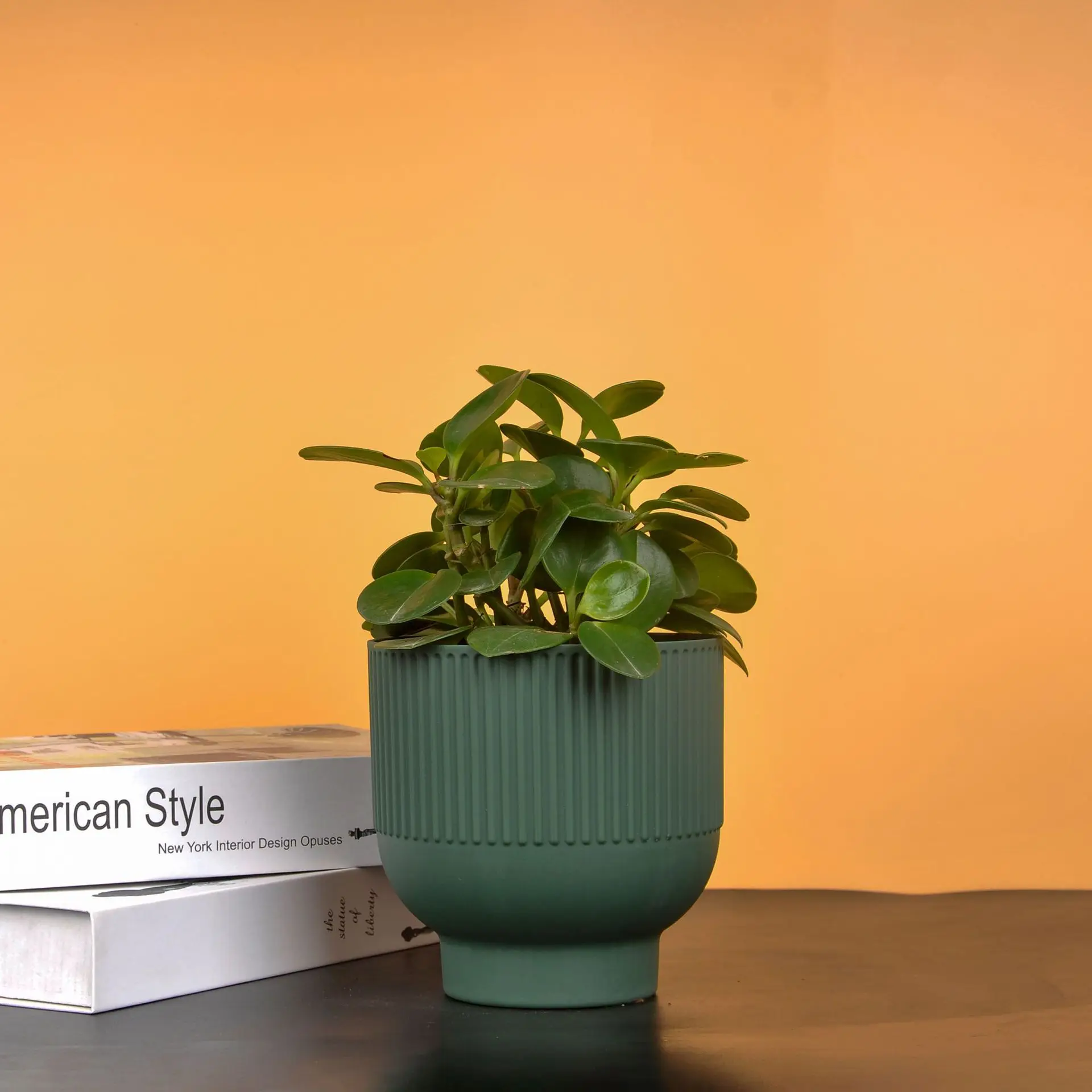 Hot sale Nordic simple striped high footed ceramic flowerpot modern garden plant potted succulent desktop home flower pot