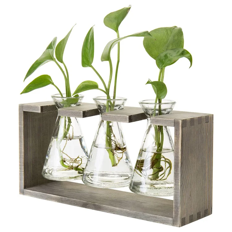 Hydroponics Glass Bulb Vases Beaker Set Propagation Station Wall Hanging Plant Terrarium Glass Planter with Rustic Wooden Stand