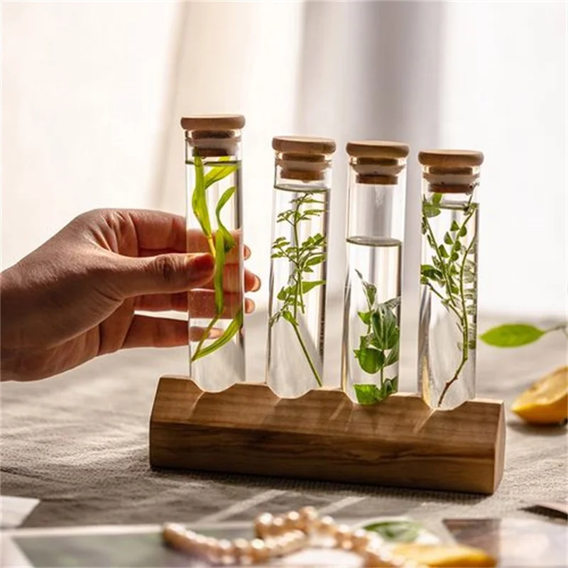 Modern test tube flower vase with wooden frame