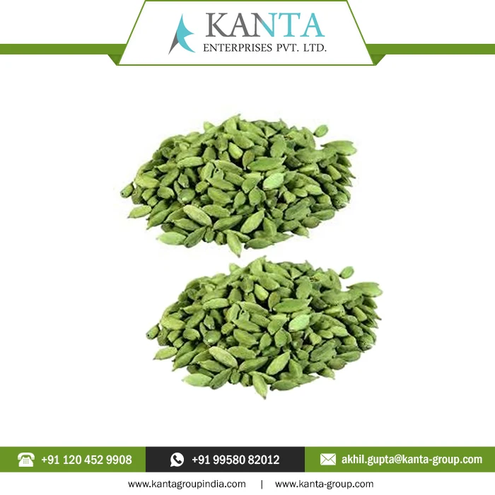 Pure 100% Natural Cardamom Essential Oil powerful flavoring and aromatic agent Available at low Price