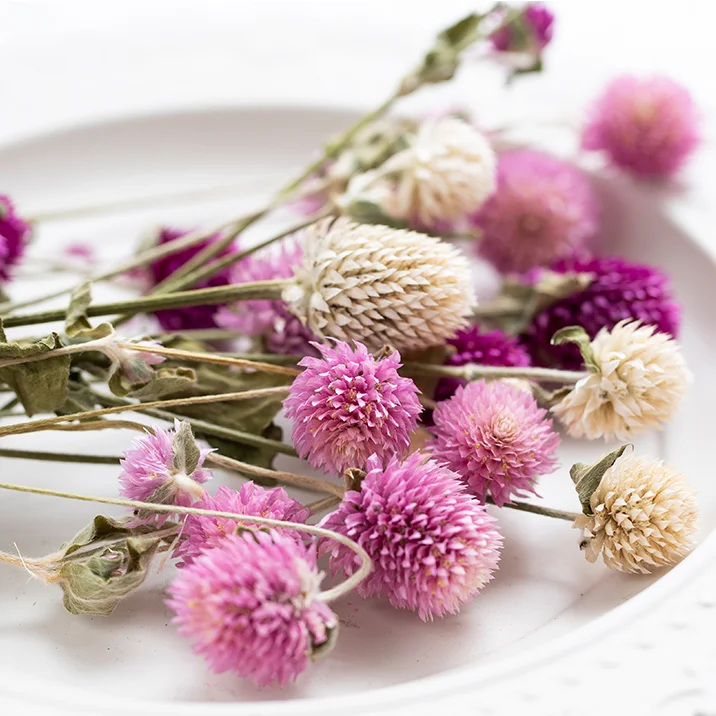 Wholesale Natural Dry Globe Amaranth Dried Flowers Gomphrena Globosa For Decor DIY Flowers Arrangements Candle Resin Making