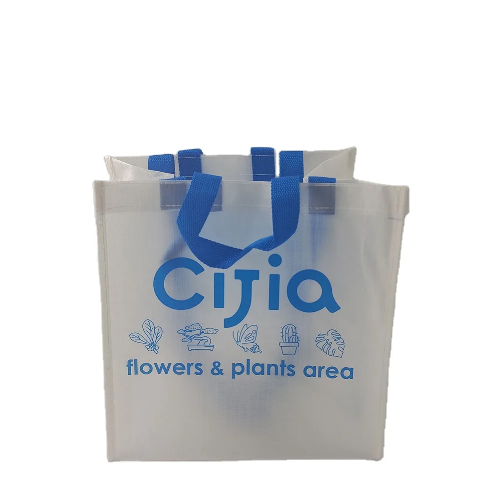 Manufacturer Recycled supply clear PP woven laminated shopping tote bag with double handles