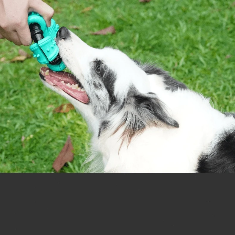 manufacturer custom natural rubber food grade durable dog nylon ring chew toys pet interactive training teething toy