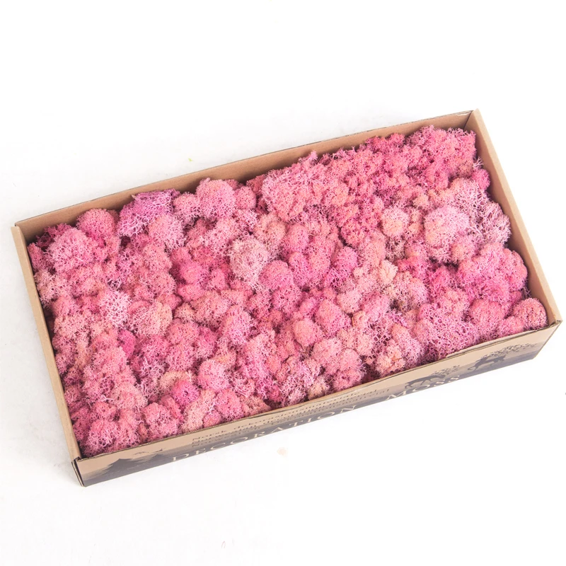 High Quality Preserved Reindeer Artificial Moss Decorative DIY Stabilized Moss For Wall Decoration