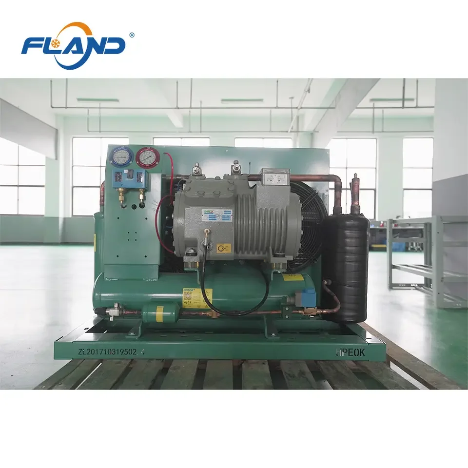 Freezer room refrigeration unit cold room condenser unit cold storage equipments for sale