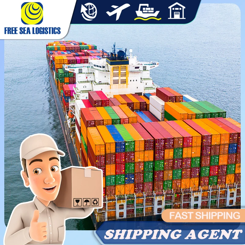 40HQ Container Sea Shipping To Jeddha Riyadh Dammam From Shenzhen Shanghai Ningbo Freight Forwarder Agent Service