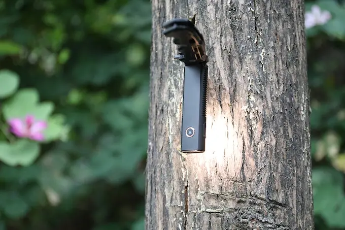 Trustfire MINIX3 Rechargeable Flat LED Laser Flashlight Portable Slim Gold Aluminum Magnetic Charging Port UV 365nm Brightness