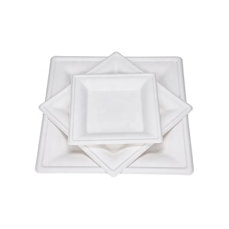 Water And Oil Proof 100% Biodegradable Dish Sugarcane Pulp Square Disposable Plate