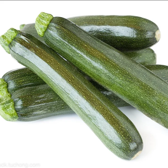 Ying Dark Green  F1 Hybrid Squash Seeds Vegetable Cucurbita pepo Seeds for planting