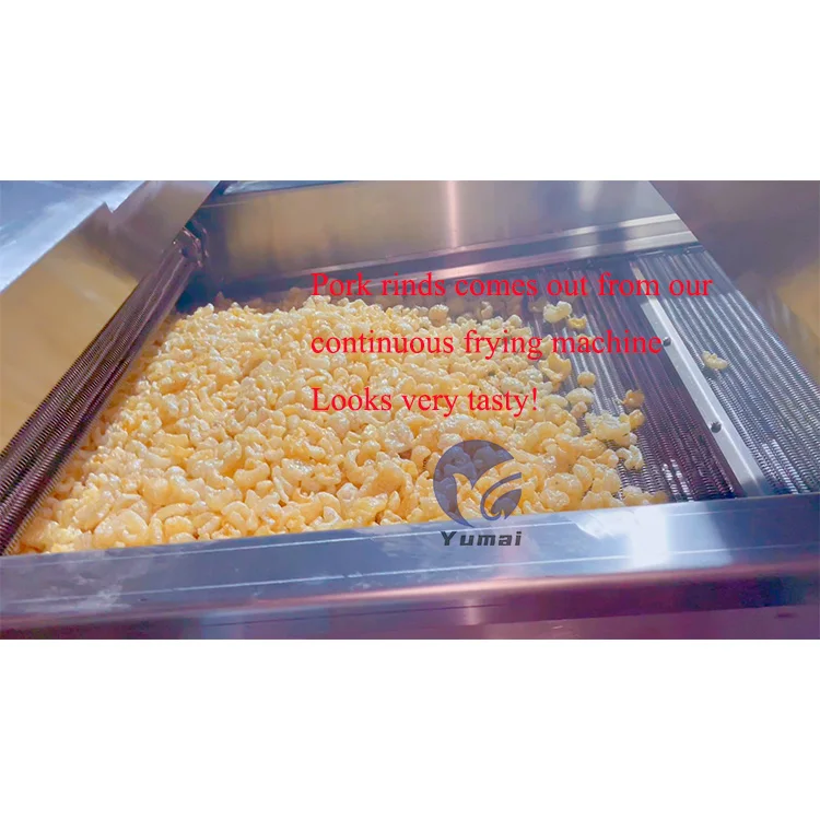 Advanced Industrial Use 200kgh Continuous French Fries Plantain Chips Chicken Wings Frying Machine For Sale