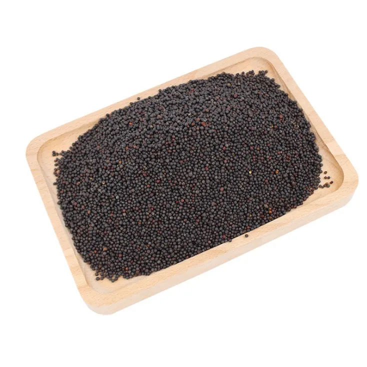 Wasabi Seed Spices Western Food Spices Black Mustard Seeds Seasoning Wholesale
