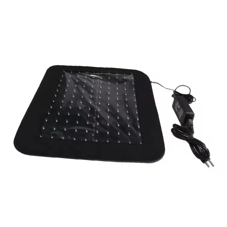 Australian Brumby Horse Dressage Horse Body Therapy Led Lamp