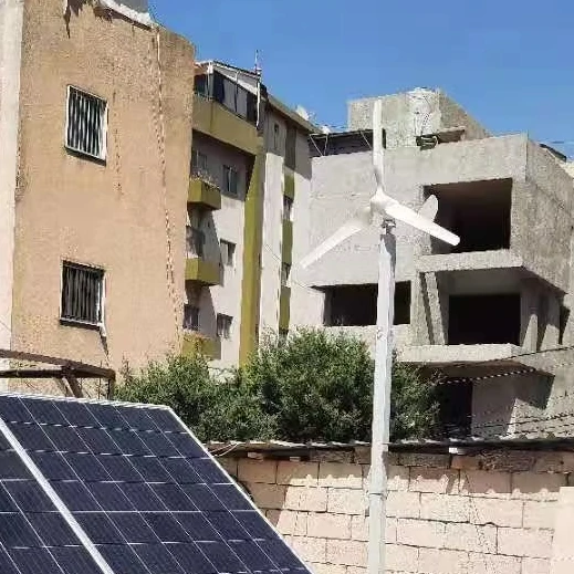 Easy Install Free Energy System 600w 800W 1kw 2kw 3kw 5kw Rooftop Wind Turbine 48v Horizontal Wind Generator