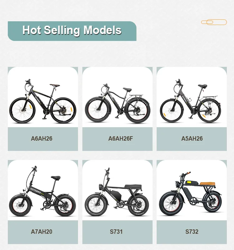 750W 500W Lithium Battery Ebike 20*4 Inch Fat Tire Three Wheel Electric Tricycle With Rear Basket 3 Wheel Electric Cargo Bike