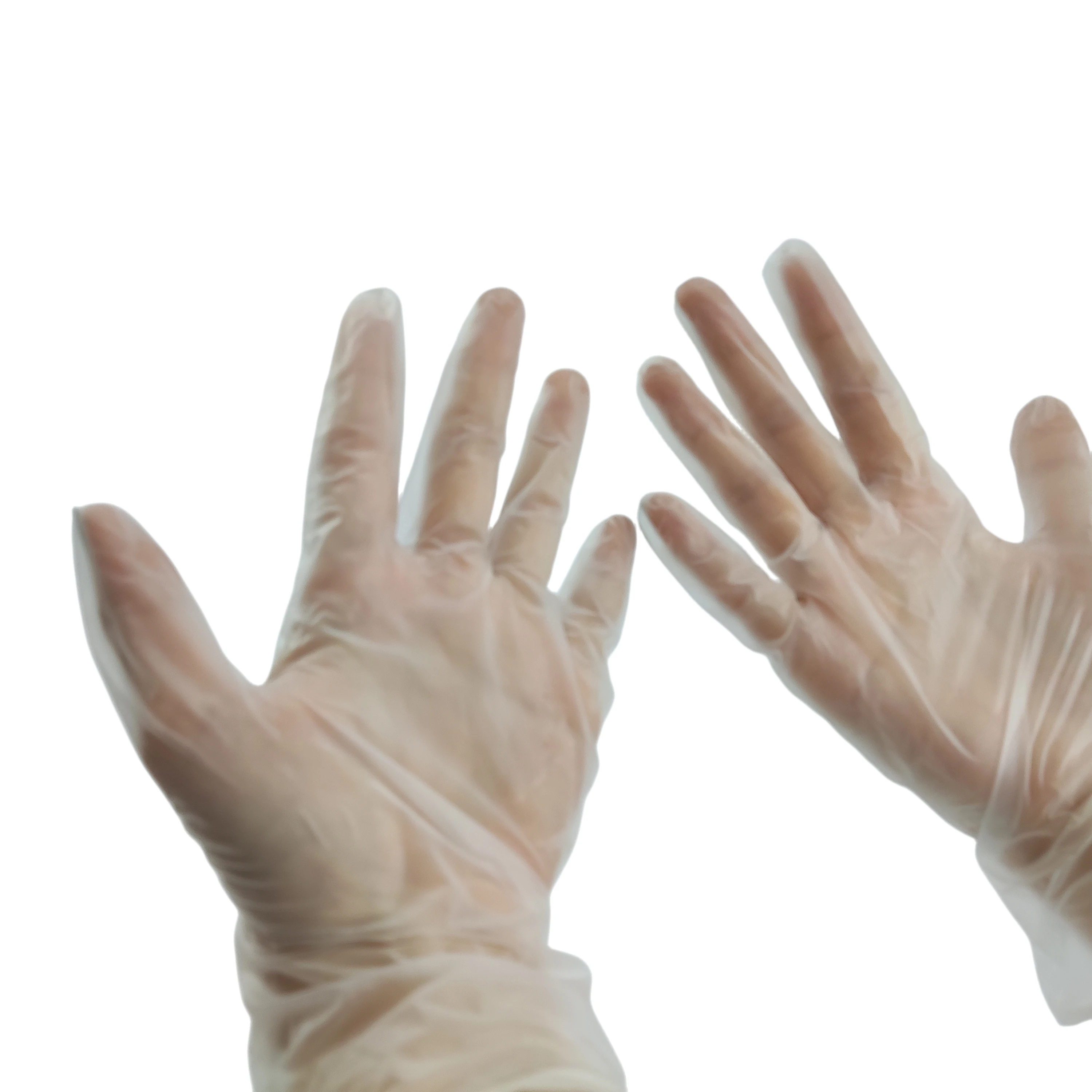 Wholesale Transparent PVC Gloves Food Grade Waterproof Household Clear Vinyl Powder Free Gloves Disposable