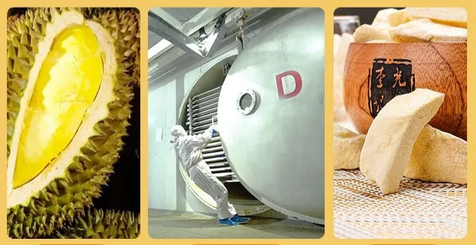 GT 1kg Freeze Dried Durian Fruit for Sale