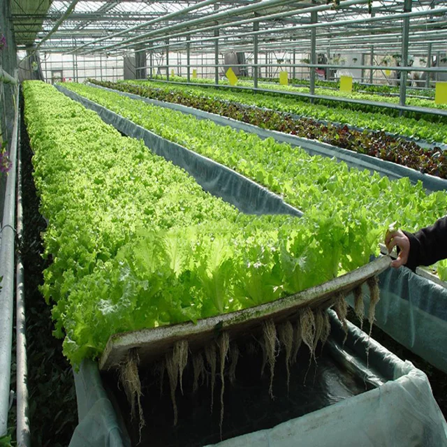 High quality hydrophonic growing systems hydroponics grow kit system greenhouse frame for vegetables