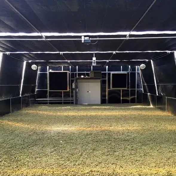 Agriculture Poly Tunnel Blackout Automatic Light Deprivation Hemp Greenhouse For Canada / USA