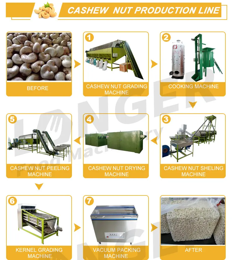 
Automatic Unit Nigeria Cashew Nuts Shelling and Processing Machine Thailand 