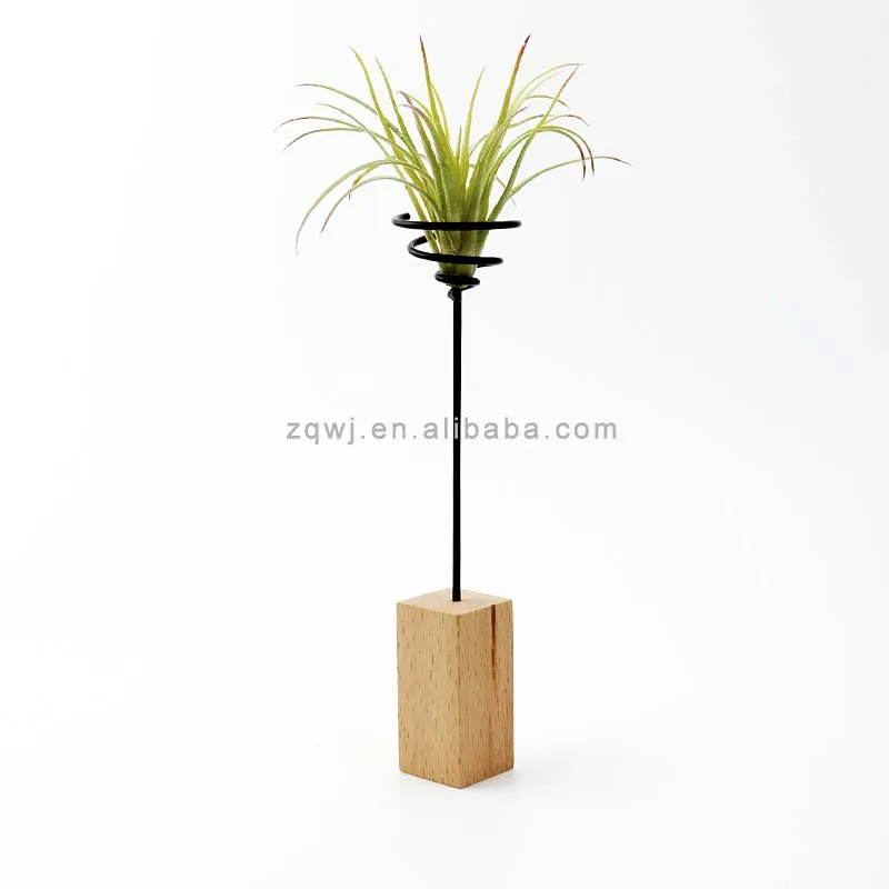 Metal Topper Plant Container Tillandsia Pots Tillandsia Racks Tall Spiral Flower Stand Air Plant Holders for Indoor Display