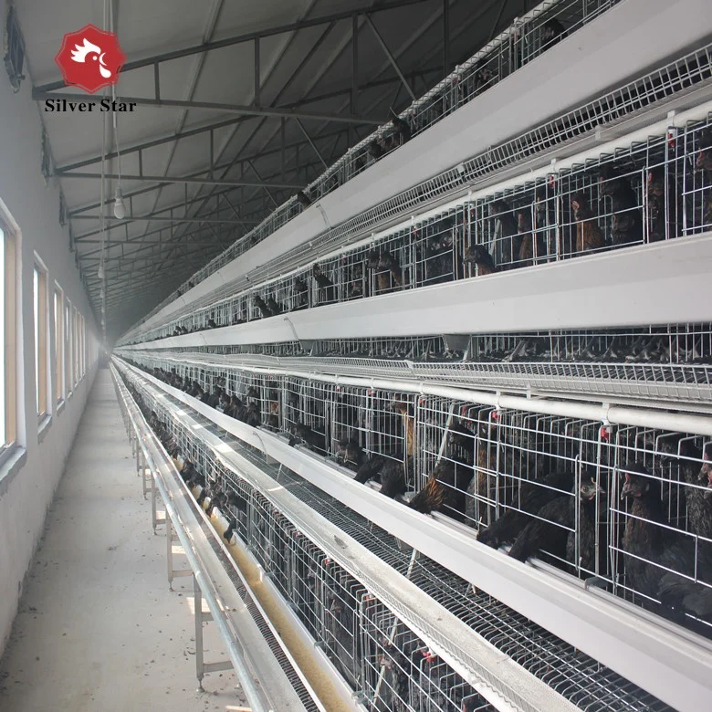 Automatic feeder&drinker A type ladder type chicken cagelayer poultry cages.JPG