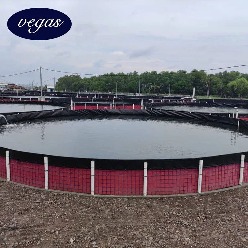 High Quality 1.0mm 2.0mm Water Waterproof Membrane  Fish tank dam pond liner price HDPE Geomembrane