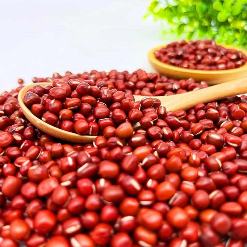 High Quality Dried Organic Round Type Small Red Adzuki Azuki Bean For Korean Bingsu