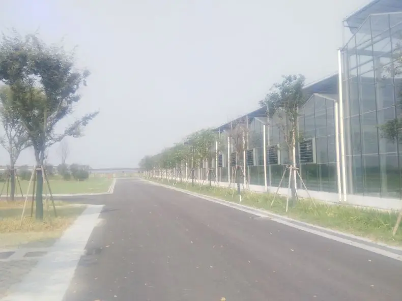 
Cheap price glass greenhouse factory direct sale with equipments keeping good condition for plants 