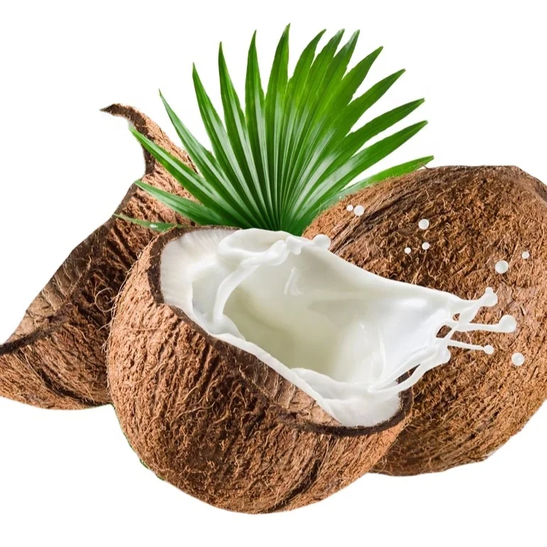 wholesale drink pure Coconut powder