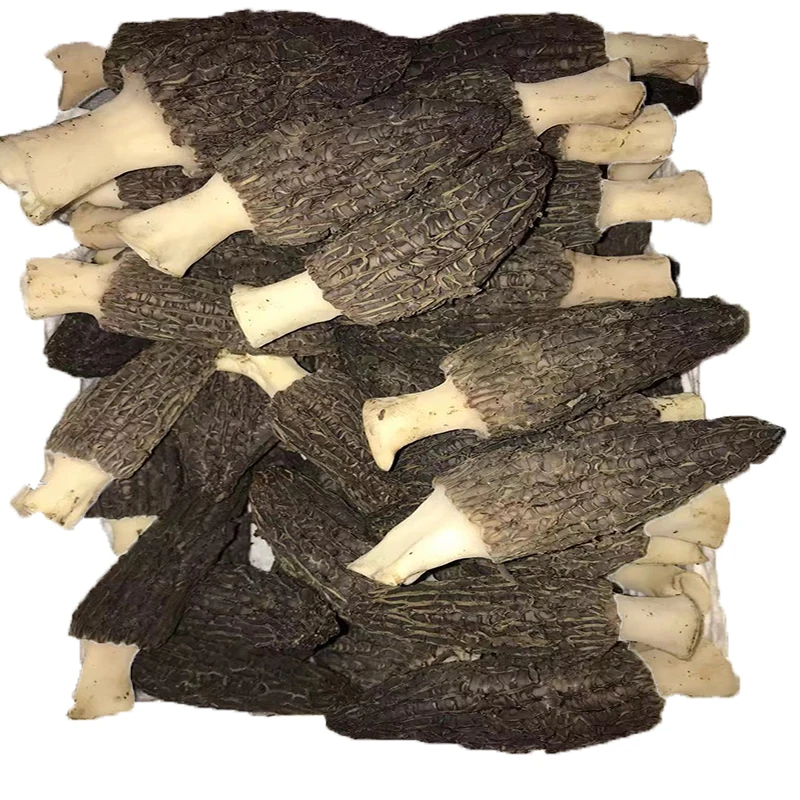 DETAN экспорт, высокое качество, сушеный Юньнань, дикий моральный гриб