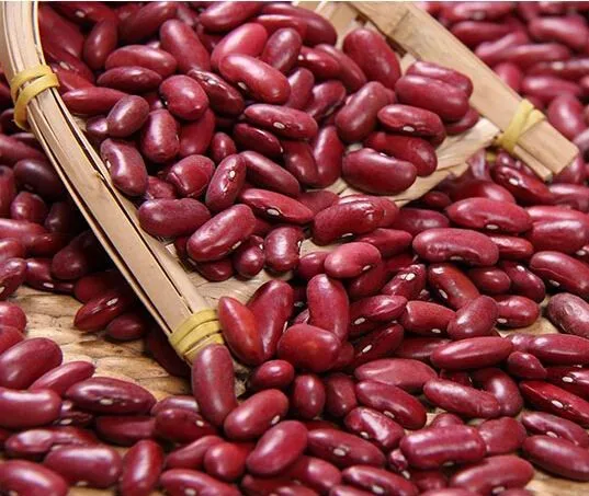 
The top quality of new crop2017 Dark Red Kidney Beans/Selected by H.P.S Size:190-210pcs/100g 