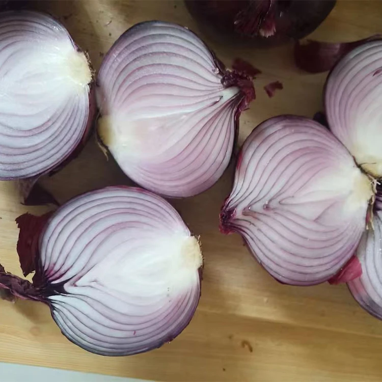 hot sale fresh agricultural product wholesale cheap 5-8cm red onion for export