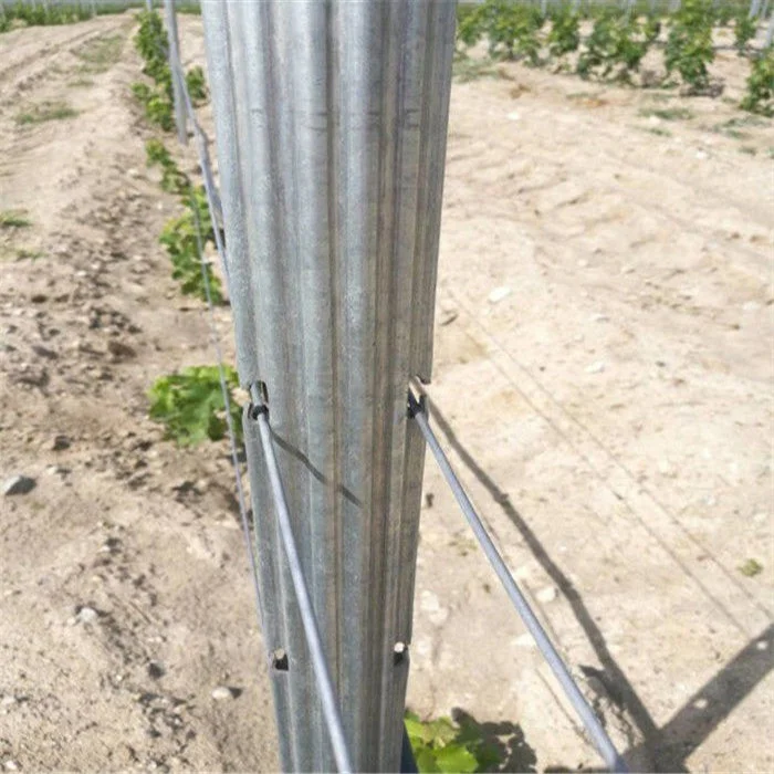 2024 Vine plants vineyard grape stake/vineyard grape metal trellis post for sale