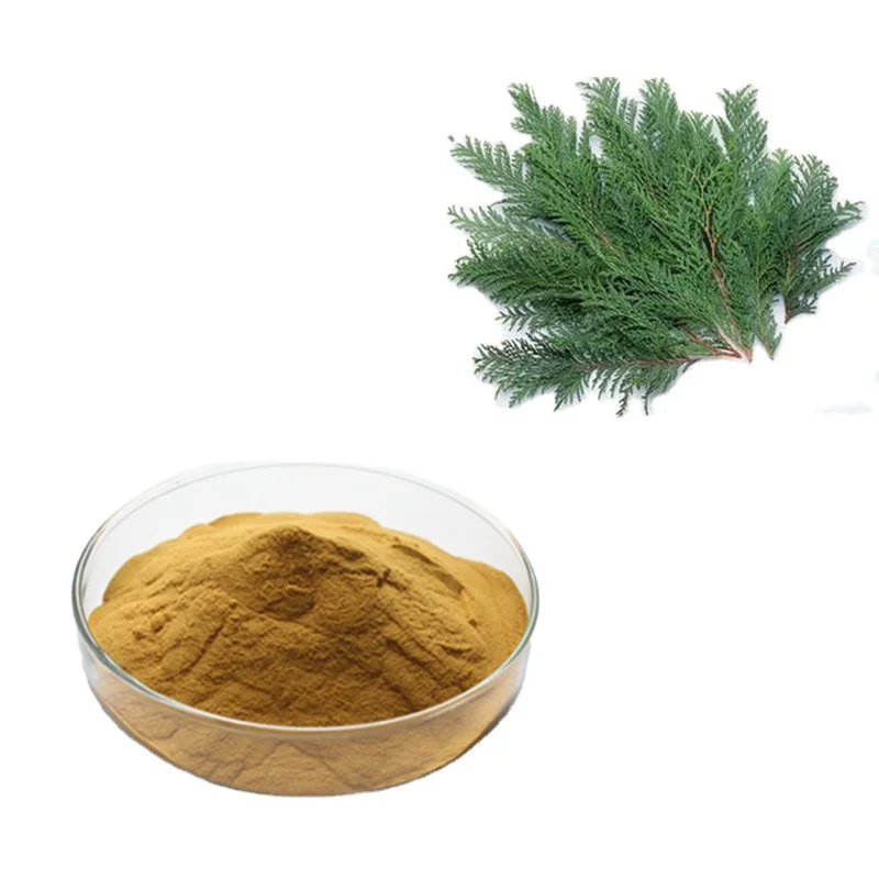 Aladdin Natural Cacumen Biotae Extract/Platycladus Orientalis Extract/Oriental arborvitae cacumen platycladi extract powder