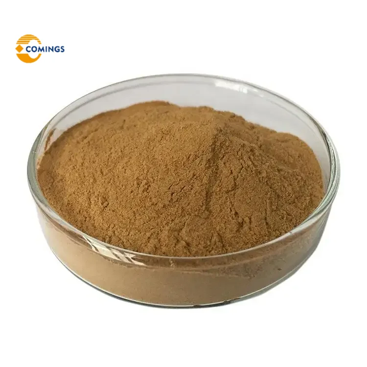 Maca Powder 100% Peruvian Yellow Root Protein Powder Maca Extract